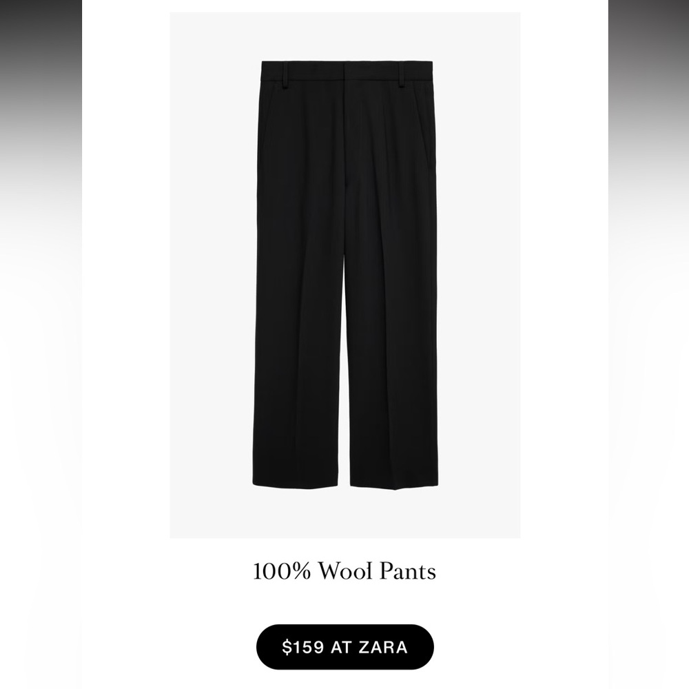 NWT Stefano Pilati x Zara Wool Pants